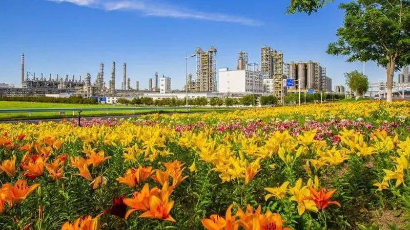 新材料与传统材料：分类与优缺点的深度解析